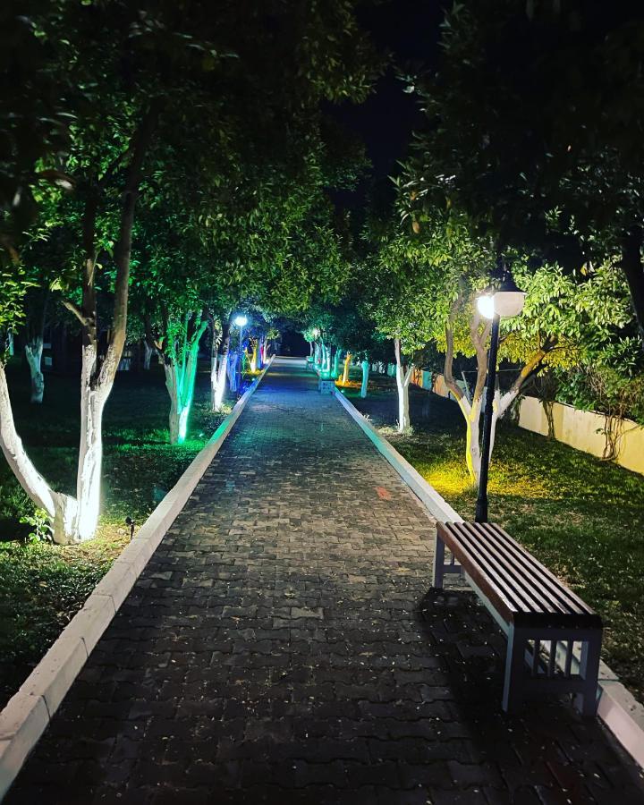 Castle Park Hotel 벨디비 외부 사진